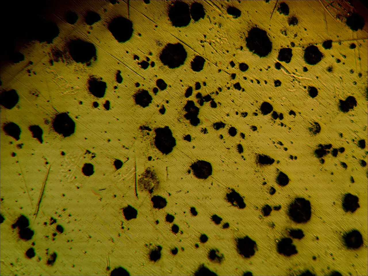 Microstructure of ductile iron at magnification